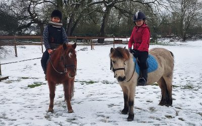 Dates des stages Vacances Février 2026