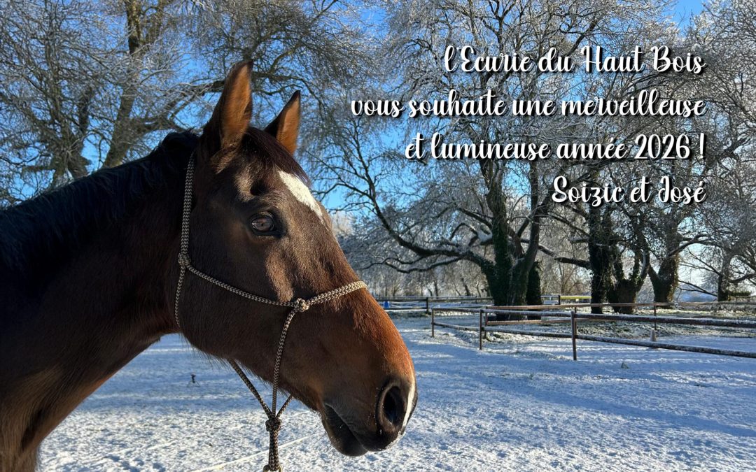 Bonne Année 2026 !